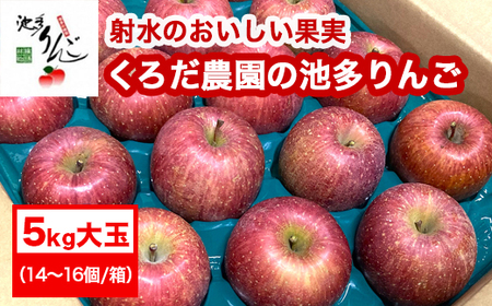 【射水のおいしい果実】【林檎】くろだ農園の池多りんご 5kg大玉（14～16個／箱） ※2026年11月～発送