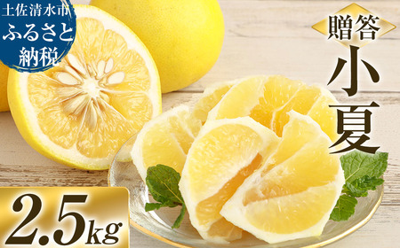 R8発送 先行予約 オレンジ園の小夏2.5kg【R01500】