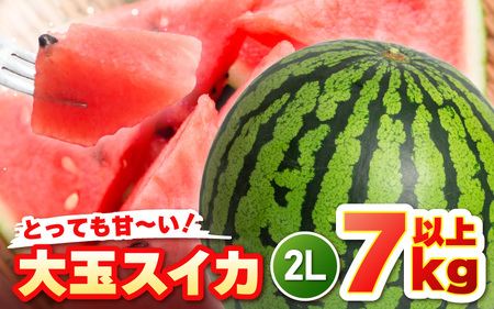 大玉スイカ 2Lサイズ 1玉 (7kg以上) 2027年6月上旬以降発送 スイカ 西瓜 すいか [A-19007]