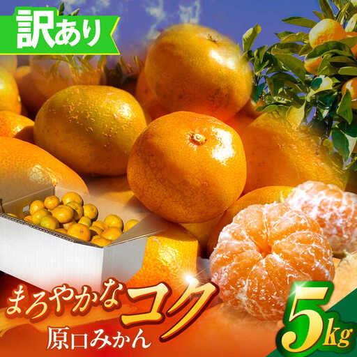 訳ありみかん 5kg 原口みかん [OBP002] 訳あり みかん