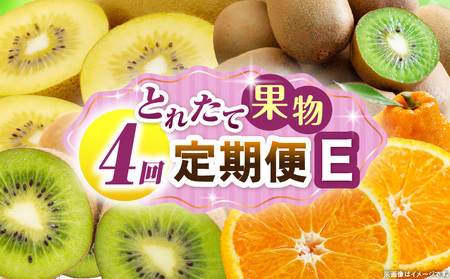 とれたて果物 4回定期便E |果物 フルーツ 果物定期便 フルーツ定期便 定期便 キウイ デコポン濃厚 旬の果物 定期 人気 おすすめ 贈答 贈り物 青果物 糖度 香川県 |_mk165-t078