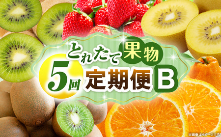 とれたて果物 5回定期便B |果物 フルーツ 果物定期便 フルーツ定期便 定期便 いちご キウイ デコポン濃厚 旬の果物 定期 人気 おすすめ 贈答 贈り物 青果物 糖度 香川県 |_mk165-t081