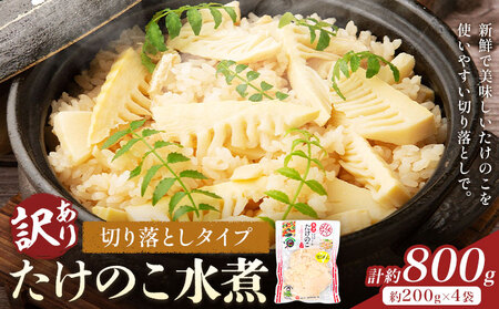訳あり たけのこ水煮 切り落としタイプ 計約800g(約200g×4袋) 北薩農産加工場[30日以内に出荷予定(土日祝除く)]鹿児島県 たけのこ 筍 水煮 使いやすい 定期便 春 旬 料理 調理