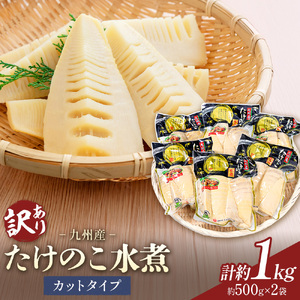 訳あり たけのこ 水煮 カットタイプ 九州産 2袋 (1袋500g) 北薩農産加工場[30日以内に出荷予定(土日祝除く)]鹿児島県 さつま町 送料無料 惣菜 タケノコ 筍 竹の子 パック 水煮 お取り寄せグルメ