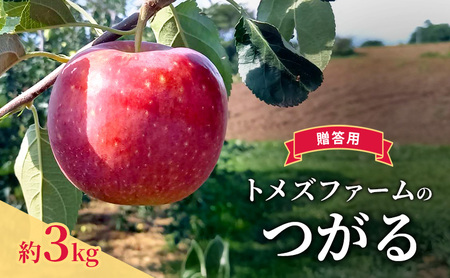 つがる(贈答用) 約3kg(8玉〜12玉入り)トメズファーム りんご 長野 信州 小諸 果物 フルーツ
