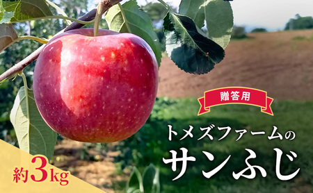 サンふじ(贈答用) 約3kg(8玉〜12玉入り)トメズファーム りんご 長野 信州 小諸 果物 フルーツ