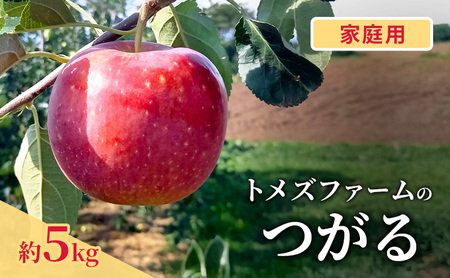 つがる(家庭用) 約5kg(15〜20玉入り)トメズファーム りんご 長野 信州 小諸 果物 フルーツ