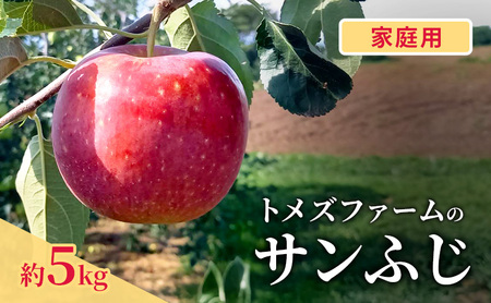 サンふじ(家庭用) 約5kg(15〜20玉入り)トメズファーム りんご 長野 信州 小諸 果物 フルーツ