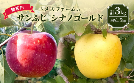 サンふじ・シナノゴールド詰合せ(贈答用) 各約1.5kg 計3kg トメズファーム りんご 長野 信州 小諸 果物 フルーツ 食べ比べ