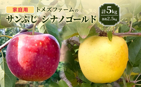 サンふじ・シナノゴールド詰合せ(家庭用) 各約2.5kg 計5kg トメズファーム りんご 長野 信州 小諸 果物 フルーツ 食べ比べ