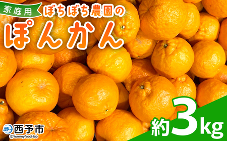 [ぼちぼち農園のぽんかん 家庭用 約3kg] 3キロ ぽんかん ポンカン 訳あり わけあり ワケアリ 果物 みかん ミカン 柑橘 フルーツ 生産量日本一 国産 特産品 ぼちぼち農園 愛媛県 西予市[常温]『2027年1月〜2月迄に順次出荷予定』ABB0005