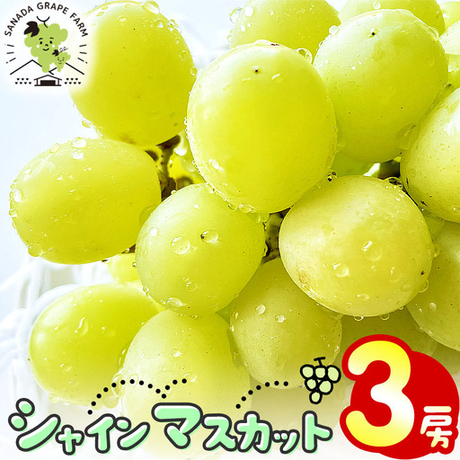 シャインマスカット 3房 【9月中旬頃～出荷予定】 