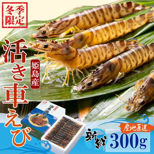 【期間限定】姫島産 活き車えび (養殖) 300g 常温配送 お歳暮ギフト 熨斗可 【宅配ボックス不可】 国産 海鮮 ギフト 刺身 焼き しゃぶしゃぶ A31