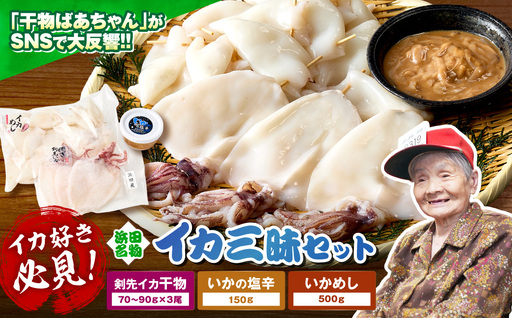 【イカ好き必見！】浜田名物イカ三昧セット（干物・塩辛・いかめし） 【025_0439】