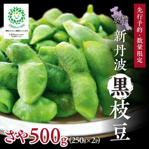 [先行予約/数量限定40]新丹波黒枝豆さや 500g(2026年10月中旬〜発送) 枝豆