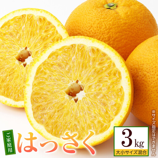 はっさく 八朔 約3kg 大小サイズ 混合 ご家庭用