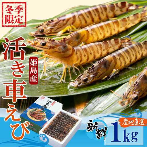 【期間限定】姫島産 活き車えび (養殖) 1kg 常温配送 お歳暮ギフト 熨斗可 【宅配ボックス不可】 国産 海鮮 ギフト 刺身 焼き しゃぶしゃぶ A33