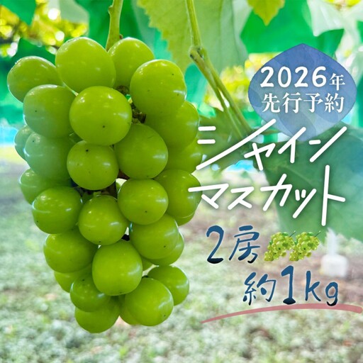 シャインマスカット 約1.0Kg（２房）｜ シャインマスカット