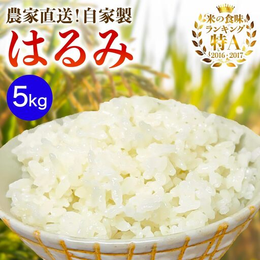 新米[令和8年産／10月下旬より順次発送] 伊勢原産 精米5kg はるみ 農家直送！加藤さんちのうんめぇ！自家製米  [1102]