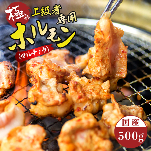 国産牛 極上 上級者専用 ホルモン (小腸) 500g タレ付き : ホルモン