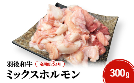 羽後和牛ミックスホルモン焼肉 秋田県産 羽後和牛【300g】【定期便3ヵ月】