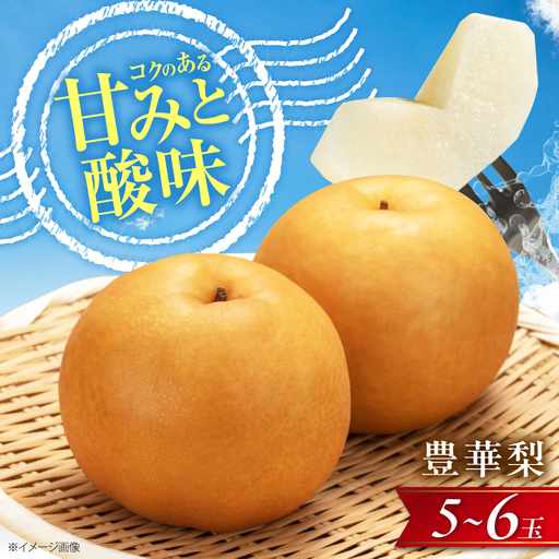 【先行予約】豊華梨5-6玉入 BKAD036 梨