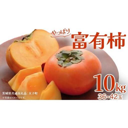 富有柿 約10kg (36～42玉)【2026年11月上旬発送開始】(茨城県共通返礼品：大子町)