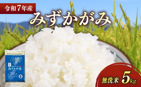 【無洗米】令和7年 彦根産 米 みずかがみ 5kg