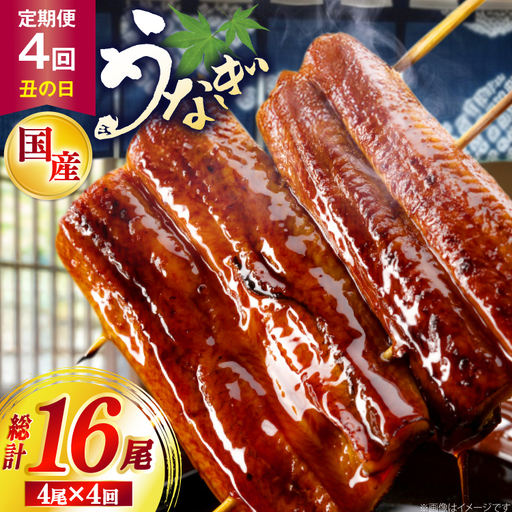 うなぎ 国産 日向うなぎ 蒲焼 中 4尾 計500g以上 4回 丑の日 定期便