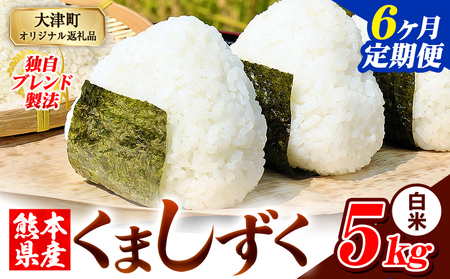 【6ヶ月定期便】白米 熊本県産 ブレンド米 くましずく 5kg 熊本県産 ふるさと納税 白米 精米 米 こめ ふるさとのうぜい コメ お米 おこめ《お申込み翌月から出荷》