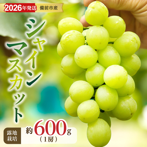 【2026年発送分　先行受付開始！】びぜん葡萄「シャインマスカット」（露地栽培）1房入（令和8年9月上旬～10月下旬頃発送）【葡萄 シャインマスカット】