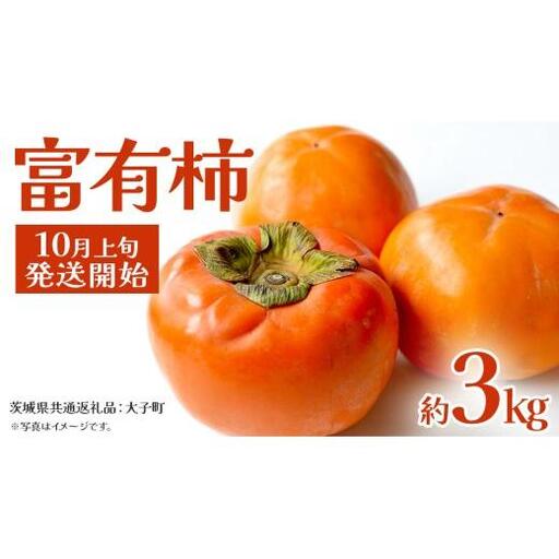 富有柿 約3kg [2026年10月上旬発送開始](茨城県共通返礼品:大子町) 柿 カキ かき 果物 フルーツ 旬 季節限定 期間限定