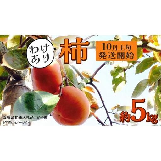[ 訳あり ] 柿 約5kg[2026年10月上旬発送開始](茨城県共通返礼品:大子町) 柿 かき カキ 果物 フルーツ 旬 季節限定 期間限定