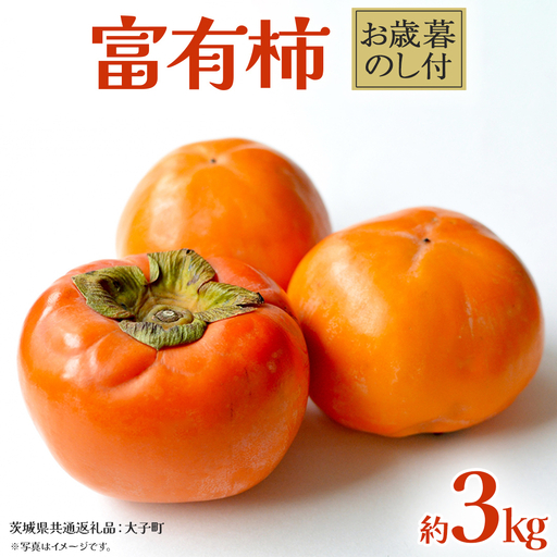 [ お歳暮 熨斗付き ] 富有柿 約3kg (茨城県共通返礼品:大子町)
