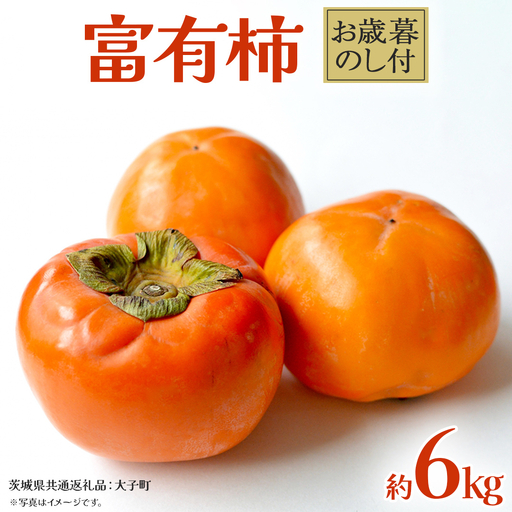 【 お歳暮 熨斗付き 】 富有柿 約6kg (茨城県共通返礼品：大子町) 