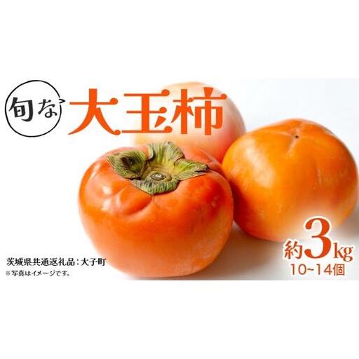 旬な大玉 柿 約3kg 10〜14個 [2026年10月上旬発送開始](茨城県共通返礼品:大子町) 柿 かき カキ 果物 フルーツ 旬 季節限定 期間限定
