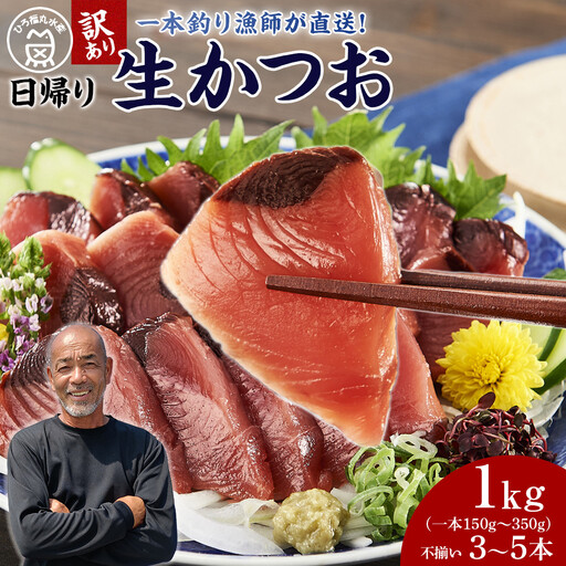 かつお 直送 生かつお 訳あり 1kg入