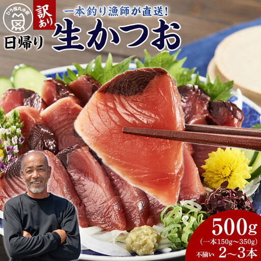 かつお 直送 生かつお 訳あり 500g入