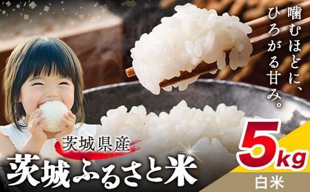 米5kg白米[7-14日以内に出荷予定(土日祝除く)]おこめ
