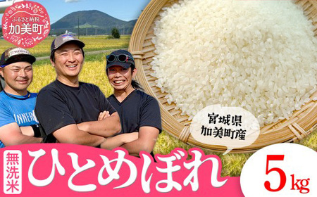 [新米予約]ひとめぼれ 無洗米 5kg | ひとめぼれ