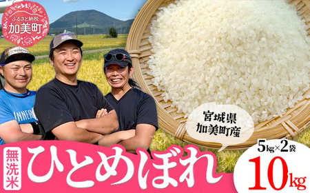 【新米予約】ひとめぼれ 無洗米 10kg ｜ ひとめぼれ
