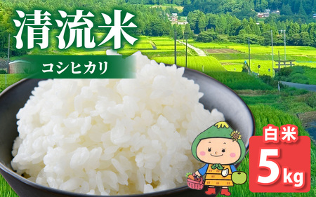 [令和7年産 新米][福井県大野市]さかだに棚田清流米!(コシヒカリ)5kg「今話題の、あのバンドのロケ地!」