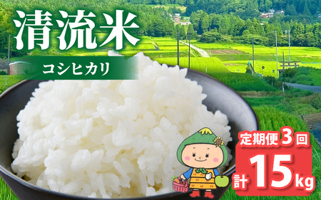 [3ヶ月定期便][令和8年産 新米][福井県大野市]さかだに棚田清流米!(コシヒカリ)5kg×3回 計15kg「今話題の、あのバンドのロケ地!」