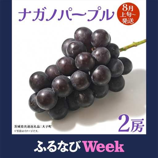 [ふるなびWEEK対象] ナガノパープル 2房 [2026年8月上旬発送開始](茨城県共通返礼品:大子町)