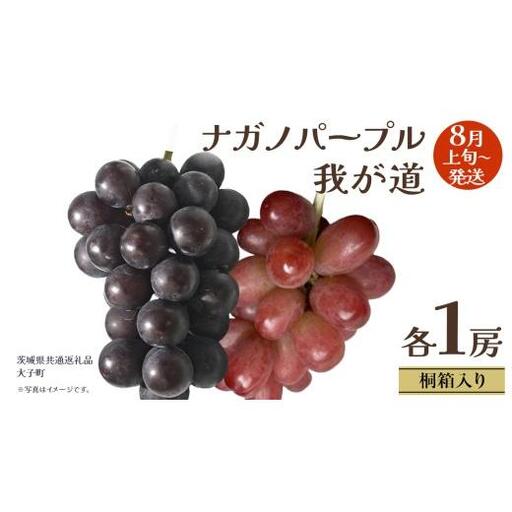 [ 桐箱入り ] ナガノパープル と 我が道 (各1房)[2026年8月上旬発送開始](茨城県共通返礼品:大子町)