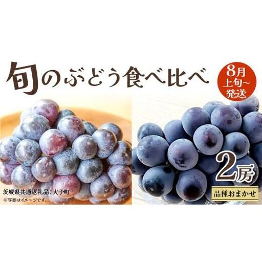 旬な ぶどう 食べ比べ 700g × 2房[2026年8月上旬発送開始](茨城県共通返礼品:大子町)