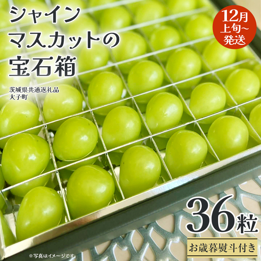 【 お歳暮 熨斗付き 】 シャインマスカット の宝石箱 36粒 (茨城県共通返礼品：大子町)