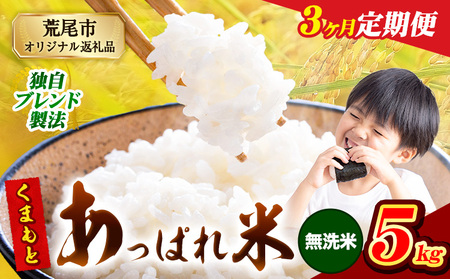 【3ヶ月定期便】 熊本県産 くまもとあっぱれ米 5kg  熊本県産 ふるさと納税  無洗米 精米 米 こめ ふるさとのうぜい コメ お米 おこめ《お申込み翌月から出荷》