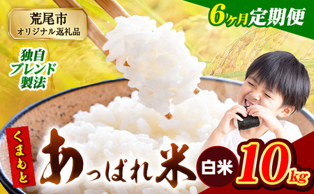 【6ヶ月定期便】 熊本県産 くまもとあっぱれ米 10kg  熊本県産 ふるさと納税  白米 精米 米 こめ ふるさとのうぜい コメ お米 おこめ《お申込み翌月から出荷》