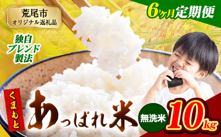 【6ヶ月定期便】 熊本県産 くまもとあっぱれ米 10kg  熊本県産 ふるさと納税  無洗米 精米 米 こめ ふるさとのうぜい コメ お米 おこめ《お申込み翌月から出荷》